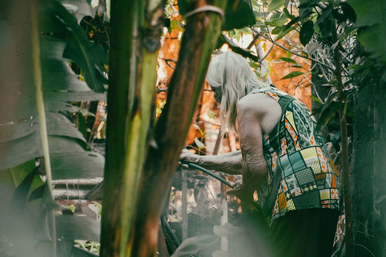 Older woman with silver hair tending plants in a lush garden