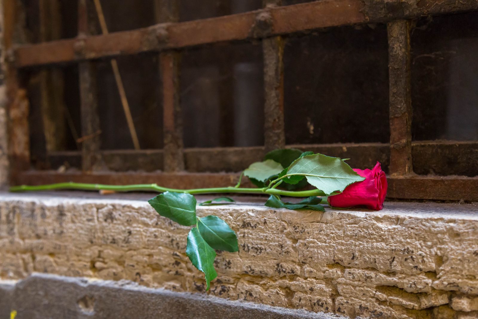 A single red rose resting on a stone window ledge, evoking quiet nostalgia
