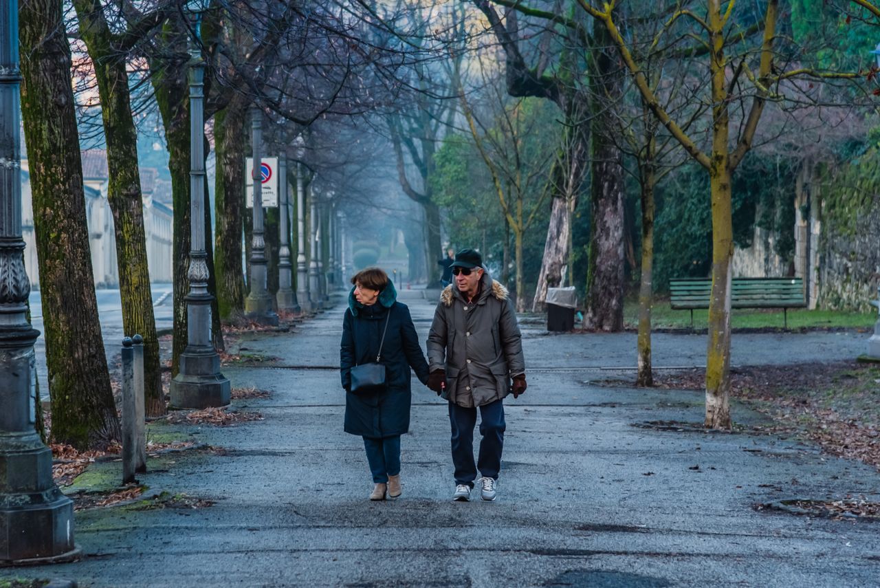 Older couple walking hand in hand along a tree-lined park path on a quiet misty day