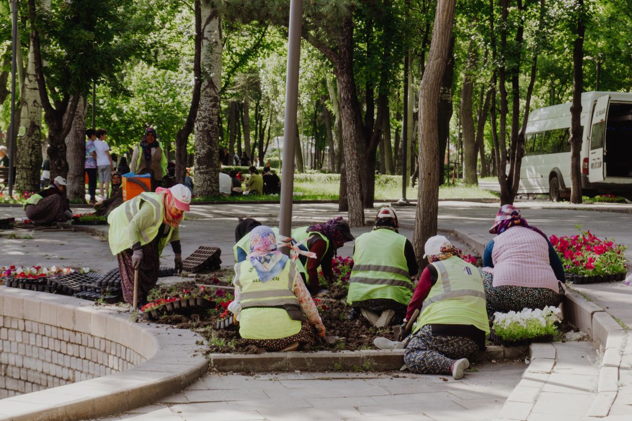 Group of adults planting flowers together in a sunny community garden