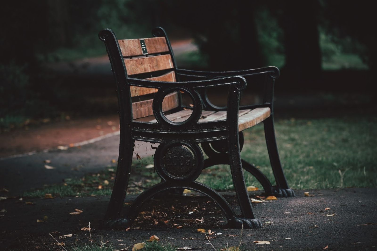 Empty iron park bench with fallen autumn leaves on a quiet path